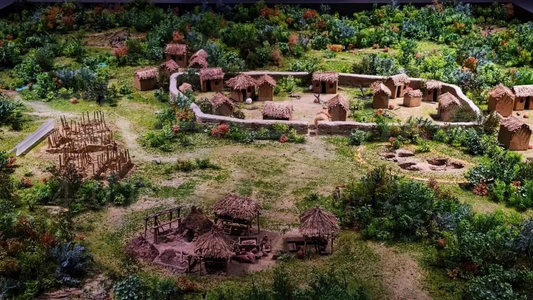 1424.jpg